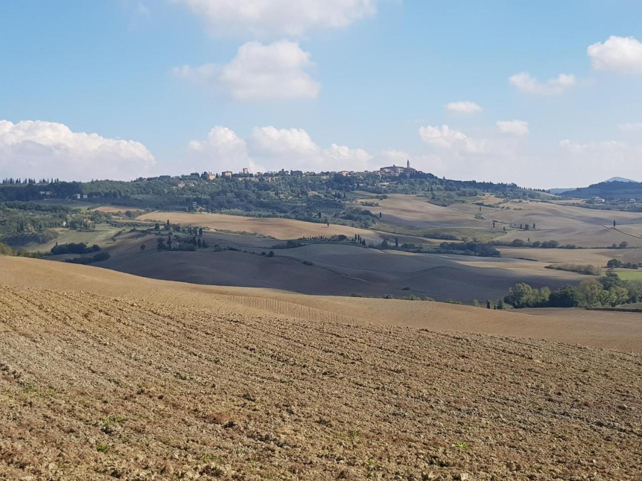 B&B Il Glicine Montefollonico Exterior foto