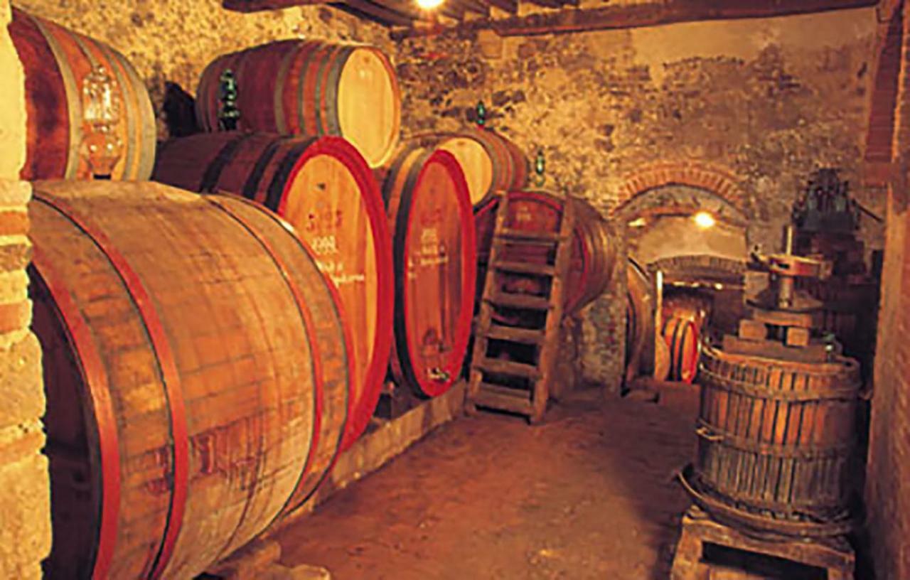 B&B Il Glicine Montefollonico Exterior foto